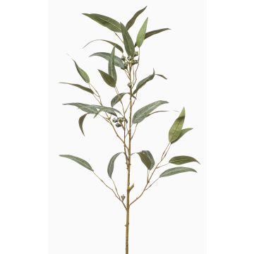 Branche d'eucalyptus artificielle JURKA avec des fruits, vert-gris, 90cm