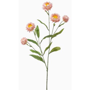 Branche décorative de fleur de paille SNAVIK, rose, 70cm