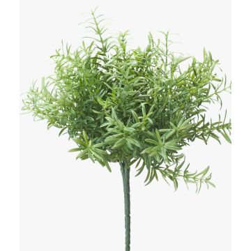 Romarin décoratif JOSHUA à planter, vert, 20cm, Ø15cm Romarin décoratif JOSHUA à planter, vert, 20cm, Ø15cm