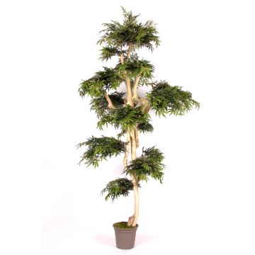 Arbre artificiel Erable du Japon AFANAS, tronc naturel, vert-rouge, 250cm - Made in Italy Arbre artificiel Erable du Japon AFANAS, tronc naturel, vert-rouge, 250cm - Made in Italy