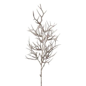 Branche décorative Épine du Christ ZOLMER, givré, blanc-brun, 70cm Branche décorative Épine du Christ ZOLMER, givré, blanc-brun, 70cm