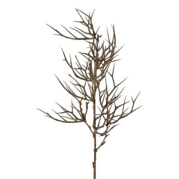 Branche décorative Épine du Christ SPROLI, brun, 70cm