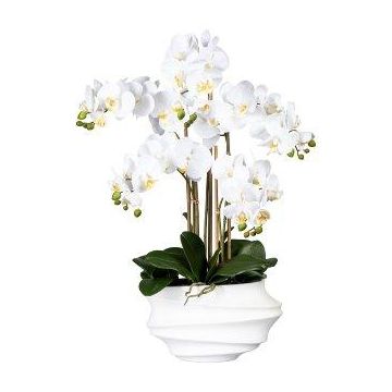 Orchidée Phalaenopsis en tissu ZALBROK, vase décoratif blanc, racines, blanc, 75cm