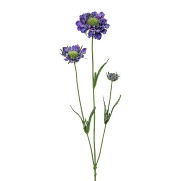 Branche artificielle Scabiosa ATLENTO, violet, 65cm Branche artificielle Scabiosa ATLENTO, violet, 65cm