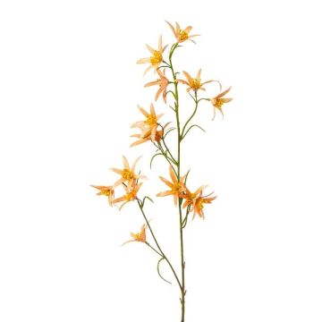 Rameau décoratif Tweedia solanoides ZORHIL, orange métallisé, 75cm