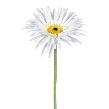 Fleur artificielle Gerbera FELISY, blanc, 65cm