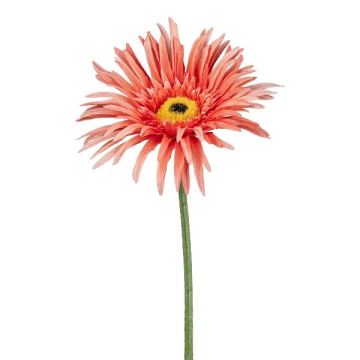 Fleur artificielle Gerbera FELISY, saumon, 65cm Fleur artificielle Gerbera FELISY, saumon, 65cm