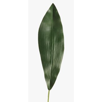 Feuille d'Aspidistra artificielle PAISA, 75cm