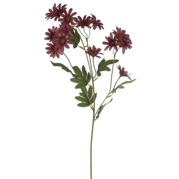 Marguerite en velours FENAS, rouge foncé, 65cm