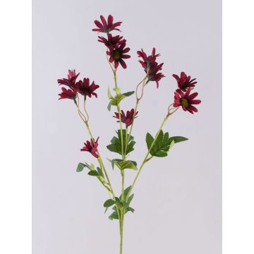 Marguerite en velours FENAS, rouge foncé, 65cm, Ø4-5cm Marguerite en velours FENAS, rouge foncé, 65cm, Ø4-5cm