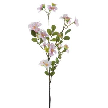 Fleur décorative Impatiens WENIA, rose-blanc, 70cm