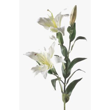 Fleur artificielle Lys KIRSTEN, blanc, 85cm, Ø15cm