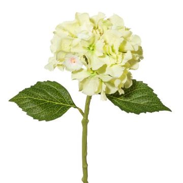 Fleur décorative Hortensia BLUVE, vert clair, 35cm Fleur décorative Hortensia BLUVE, vert clair, 35cm