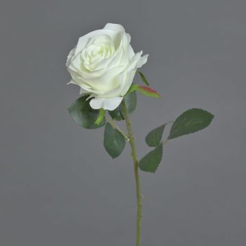 Fleur artificielle Rose SIMONY, crème, 45cm, Ø8cm
