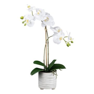 Orchidée Phalaenopsis artificielle GROTVER, pot en céramique, racines, blanc, 50cm