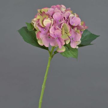 Fausse fleur d'Hortensia GABRIELLA, rose, 50cm, Ø18cm