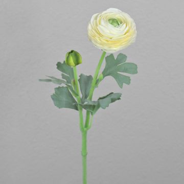 Renoncule synthétique CADISS, crème, 50cm, Ø7,5cm