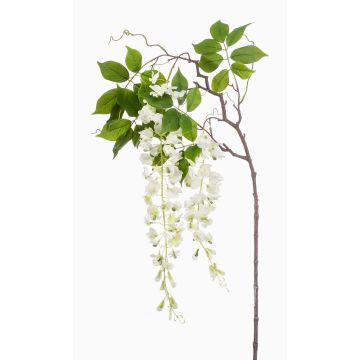 Grande branche de glycine artificielle NISSRINE avec fleurs, blanche, 145cm Grande branche de glycine artificielle NISSRINE avec fleurs, blanche, 145cm