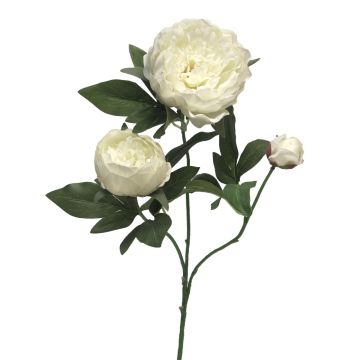 Branche artificielle de pivoine MEIRU, crème, 70cm, Ø9-12cm Branche artificielle de pivoine MEIRU, crème, 70cm, Ø9-12cm