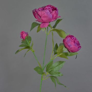 Branche artificielle de pivoine MEIRU, violet foncé, 70cm, Ø9-12cm