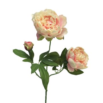 Branche artificielle de pivoine MEIRU, abricot-rose, 70cm, Ø9-12cm Branche artificielle de pivoine MEIRU, abricot-rose, 70cm, Ø9-12cm