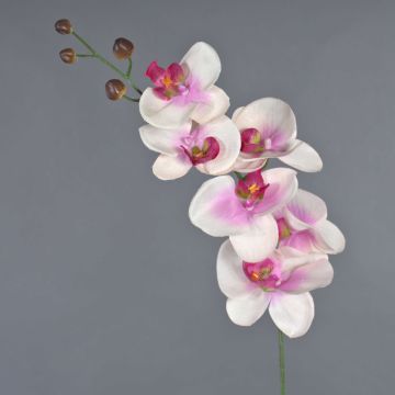 Branche décorative d'orchidée Phalaenopsis LANUA, rose crème, 70 cm, Ø 8,5-12 cm Branche décorative d'orchidée Phalaenopsis LANUA, rose crème, 70 cm, Ø 8,5-12 cm