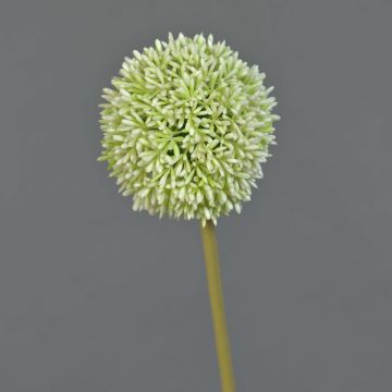 Fleur artificielle Allium BAILIN, vert crème, 65 cm, Ø 10 cm