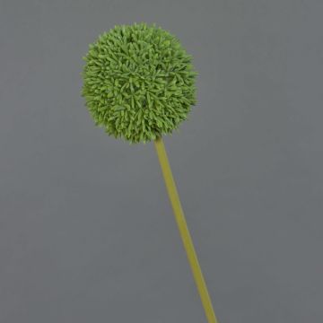 Fleur artificielle Allium BAILIN, verte, 65 cm, Ø 10 cm Fleur artificielle Allium BAILIN, verte, 65 cm, Ø 10 cm
