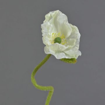 Fleur artificielle de pavot ANKANG, crème, 70 cm, Ø 9,5 cm