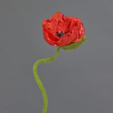 Fleur artificielle de pavot ANKANG, rouge, 70 cm, Ø 9,5 cm Fleur artificielle de pavot ANKANG, rouge, 70 cm, Ø 9,5 cm
