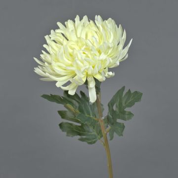 Fleur artificielle chrysanthème LINGYUN, crème, 65cm, Ø16cm Fleur artificielle chrysanthème LINGYUN, crème, 65cm, Ø16cm
