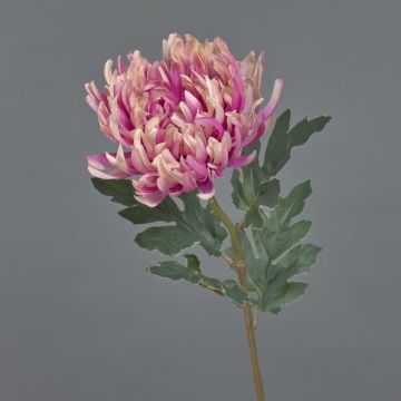 Fleur synthétique chrysanthème LINGYUN, rose-fuchsia, 65cm, Ø16cm Fleur synthétique chrysanthème LINGYUN, rose-fuchsia, 65cm, Ø16cm