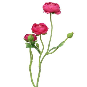 Branche de renoncules artificielles JIXIANG, fuchsia, 50cm Branche de renoncules artificielles JIXIANG, fuchsia, 50cm