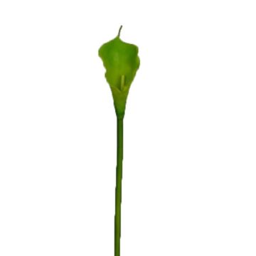 Fleur artificielle Zantedeschia DOU, verte, 70 cm Fleur artificielle Zantedeschia DOU, verte, 70 cm