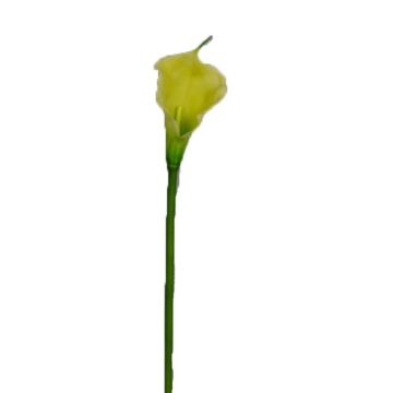 Fleur artificielle Zantedeschia DOU, jaune-vert, 70 cm Fleur artificielle Zantedeschia DOU, jaune-vert, 70 cm