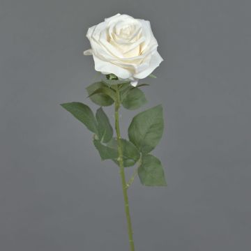Rose artificielle KAILIN, crème, 65 cm, Ø 9 cm