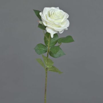 Rose artificielle KAILIN, blanche, 65 cm, Ø 9 cm Rose artificielle KAILIN, blanche, 65 cm, Ø 9 cm