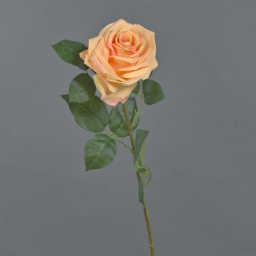 Rose artificielle KAILIN, rose saumon, 65 cm, Ø 9 cm Rose artificielle KAILIN, rose saumon, 65 cm, Ø 9 cm