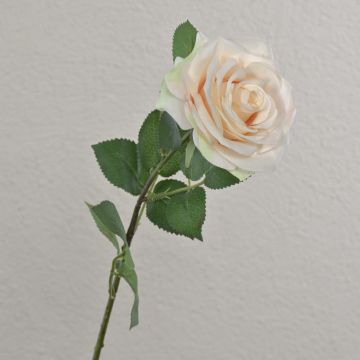 Rose artificielle KAILIN, rose crème, 65 cm, Ø 9 cm Rose artificielle KAILIN, rose crème, 65 cm, Ø 9 cm