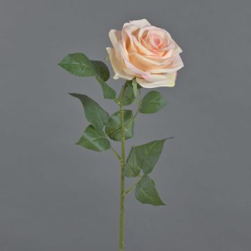 Rose artificielle KAILIN, rose-crème, 65 cm, Ø 9 cm Rose artificielle KAILIN, rose-crème, 65 cm, Ø 9 cm