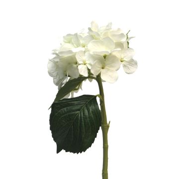 Fleur artificielle hortensia XINCHENG, blanche, 50cm, Ø15cm