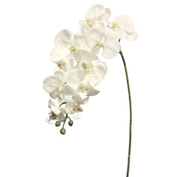 Branche décorative d'orchidée Phalaenopsis JUANRU, blanche, 100 cm