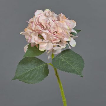 Fleur artificielle d'hortensia FUXIANG, rose-crème, 50cm, Ø16cm Fleur artificielle d'hortensia FUXIANG, rose-crème, 50cm, Ø16cm
