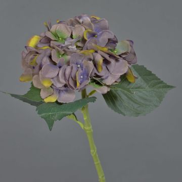 Fleur artificielle Hortensia FUXIANG, vieux lilas-jaune-vert, 50cm, Ø16cm Fleur artificielle Hortensia FUXIANG, vieux lilas-jaune-vert, 50cm, Ø16cm