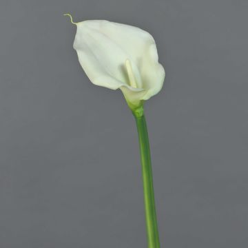Fleur artificielle Zantedeschia ZHILONG, blanche, 55 cm, 10 x 16 cm Fleur artificielle Zantedeschia ZHILONG, blanche, 55 cm, 10 x 16 cm