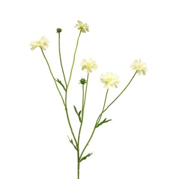 Branche décorative de centaurée TAOTAO, crème, 65 cm, Ø 4-5 cm Branche décorative de centaurée TAOTAO, crème, 65 cm, Ø 4-5 cm