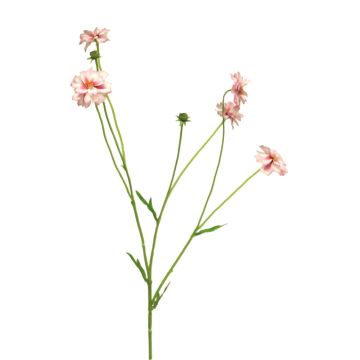 Branche décorative de centaurée TAOTAO, rose-fuchsia, 65 cm, Ø 4-5 cm Branche décorative de centaurée TAOTAO, rose-fuchsia, 65 cm, Ø 4-5 cm