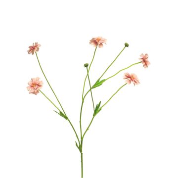 Branche décorative de centaurée TAOTAO, rose, 65 cm, Ø 4-5 cm Branche décorative de centaurée TAOTAO, rose, 65 cm, Ø 4-5 cm