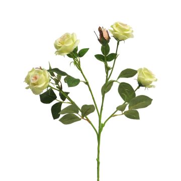 Branche de rose artificielle SHANZHA, vert clair, 70cm, Ø6,5-7cm Branche de rose artificielle SHANZHA, vert clair, 70cm, Ø6,5-7cm