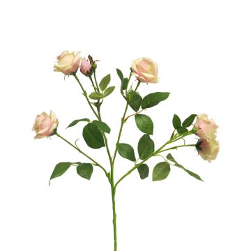 Branche de rose artificielle SHANZHA, rose-crème, 70cm, Ø6,5-7cm